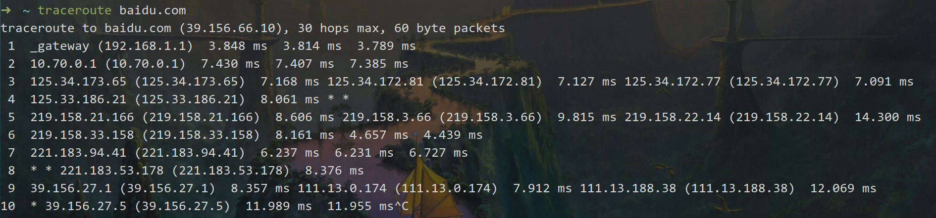 traceroute demo